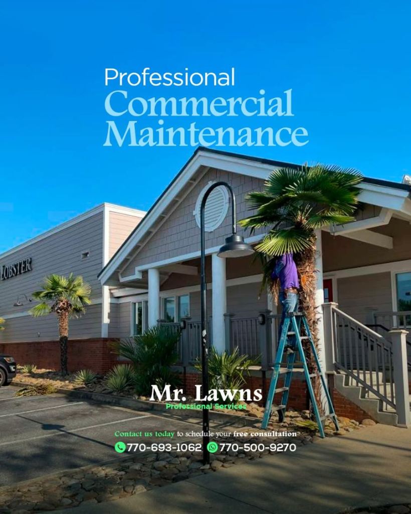 Mantenimiento comercial de Mr. Lawns