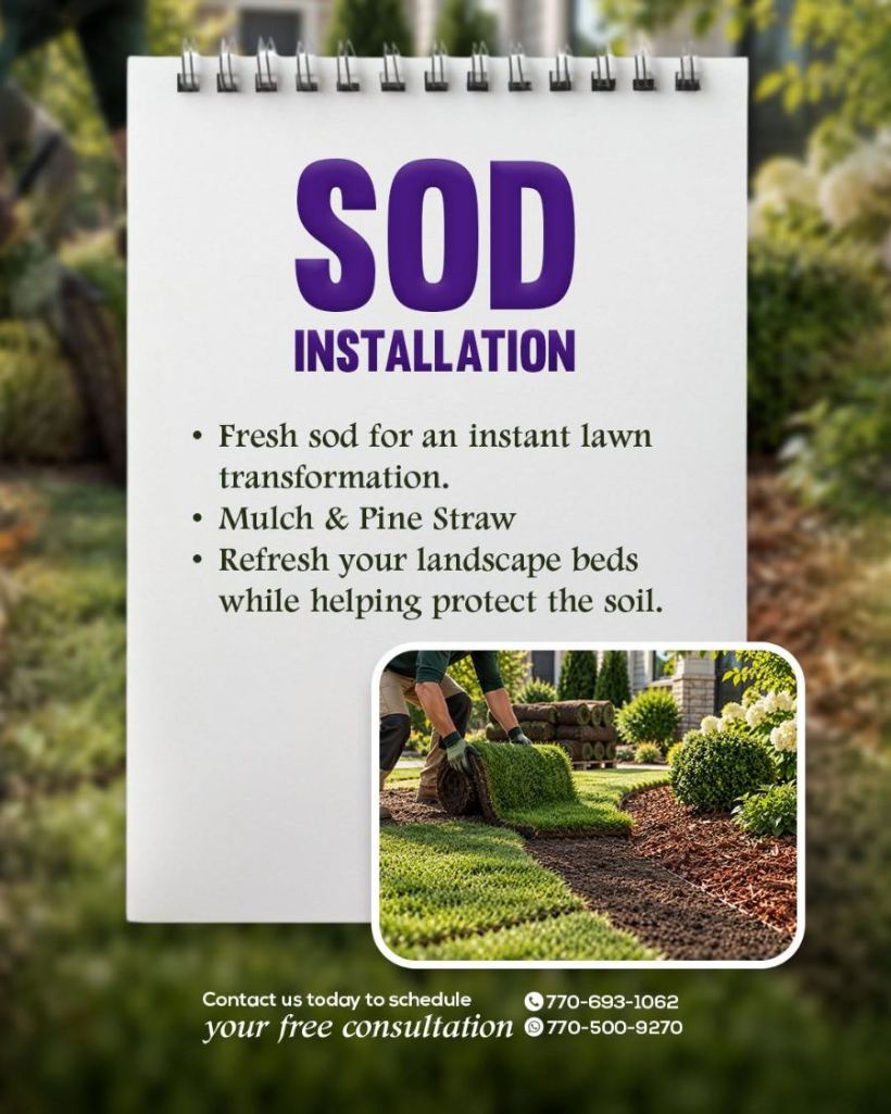Instalación de grama de Mr. Lawns